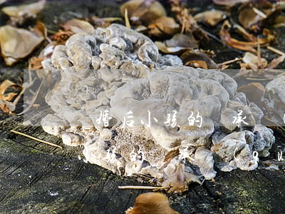 離婚后小孩的繼承權(quán)嗎(離婚后小孩的繼承權(quán)嗎)