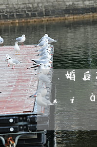 離婚后就知道懷孕了(離婚后發(fā)現(xiàn)自己懷孕了)