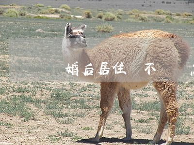 離婚后居住證不給開怎么辦