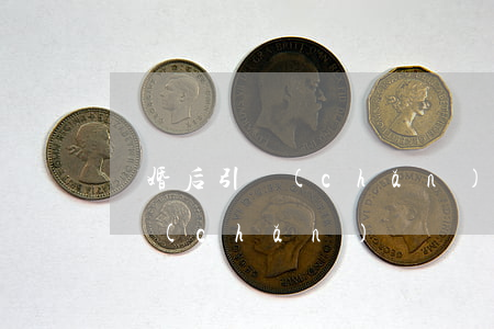離婚后引產(chǎn)二胎(離婚后可以引產(chǎn)嗎)