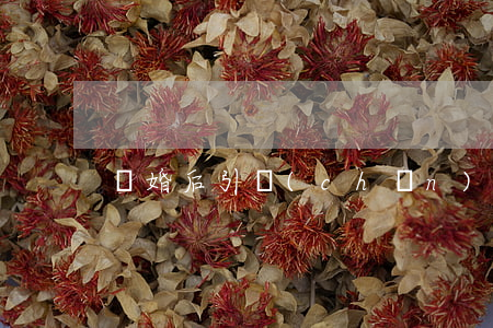 離婚后引產(chǎn)證明怎么開