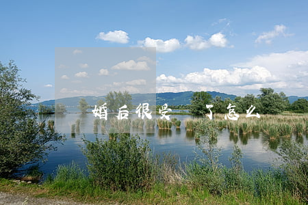 離婚后很受傷了怎么辦