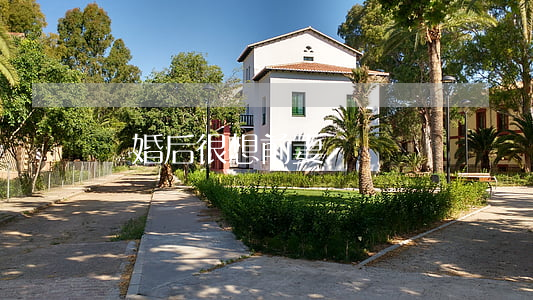 離婚后很想前妻