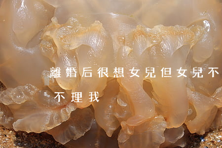 離婚后很想女兒但女兒不理我(自己女兒為啥不理我)