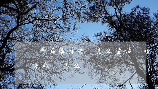 離婚后很痛苦該怎么生活(離婚為什么這么痛苦我該怎么辦)