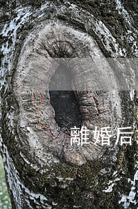 離婚后從哪里看出來(離婚后從哪里看出來)