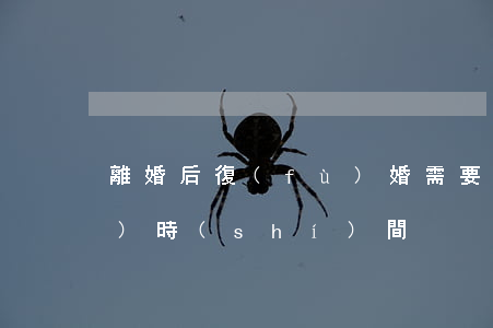 離婚后復(fù)婚需要多長(zhǎng)時(shí)間