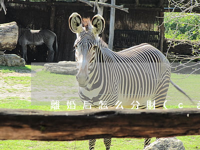 離婚后怎么分財(cái)產(chǎn)