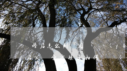 離婚后怎么判給父親撫養(yǎng)(離婚后父親坐牢孩子如何撫養(yǎng))