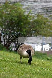離婚后怎么相處 離婚后怎么相處