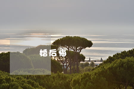 離婚  后悔
