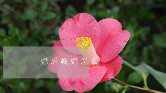 離婚后悔婚怎么辦