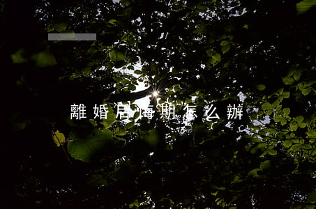 離婚后悔期怎么辦
