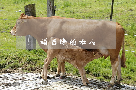 離婚后悔的女人