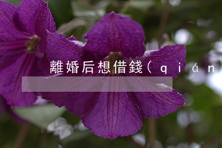 離婚后想借錢(qián)怎么辦