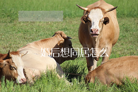 離婚后想同居怎么辦