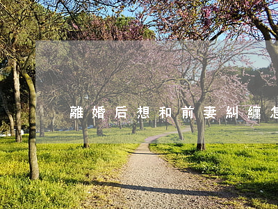 離婚后想和前妻糾纏怎么辦