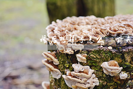 離婚后想孩子怎么辦前夫不讓