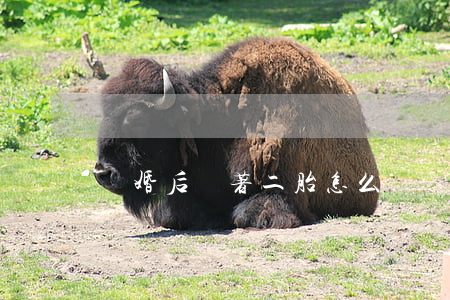 離婚后懷著二胎怎么辦