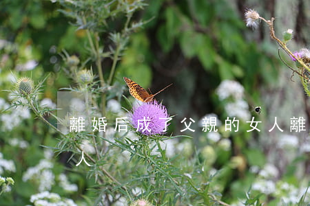 離婚后成了父親的女人(離婚后成了父親的女人)