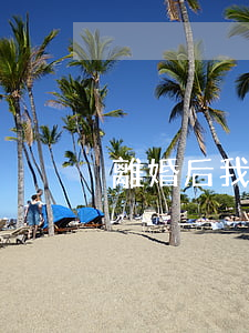 離婚后我呼吸就賺錢(離婚后賺了許多錢)