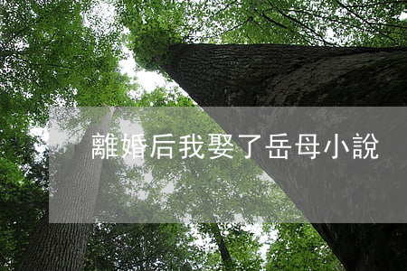 離婚后我娶了岳母小說