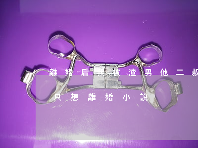 離婚后我被渣男他二叔寵爆了(變成渣男后我只想離婚 小說)