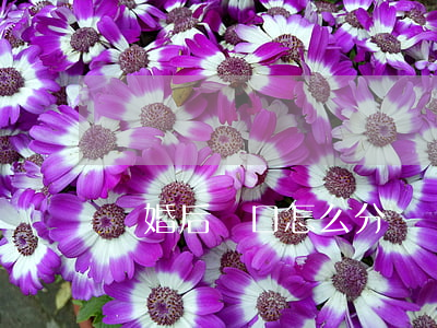 離婚后戶口怎么分開