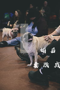 離婚后戶口怎么改離異申請(離婚之后戶口本要改成離異嗎)
