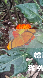 離婚后戶口掛在北京(離婚后孩子是北京戶口我外地)