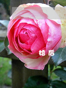 離婚后戶口本怎么變更