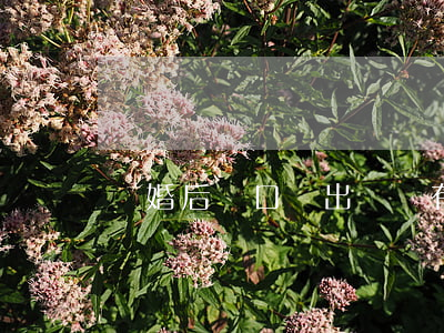 離婚后戶口遷出來沒有房子怎么辦