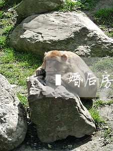 離婚后房子歸一方怎么辦房本