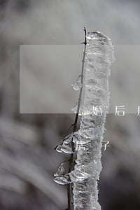 離婚后房子給女的(離婚的女人必須有自己的房子)
