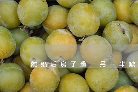 離婚后房子過戶另一半缺席怎么辦