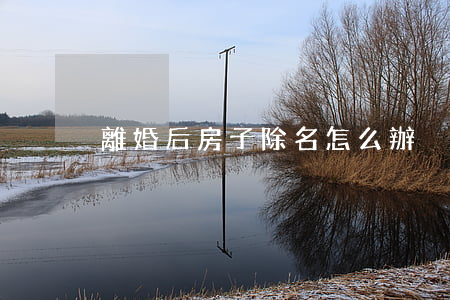 離婚后房子除名怎么辦