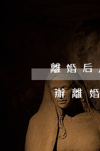 離婚后房產(chǎn)分割糾紛律師怎么辦(離婚房產(chǎn)分割案律師如何收費(fèi))