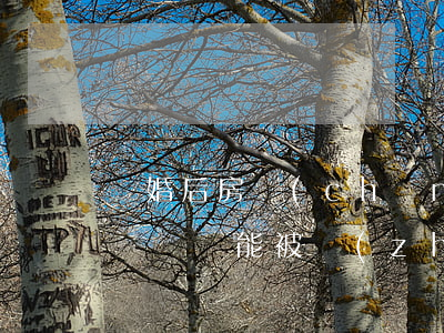 離婚后房產(chǎn)已經(jīng)過戶還能被執(zhí)行嗎(離婚前房產(chǎn)過戶和離婚后過戶)