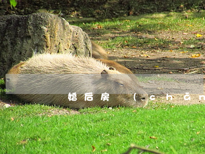 離婚后房產(chǎn)律師