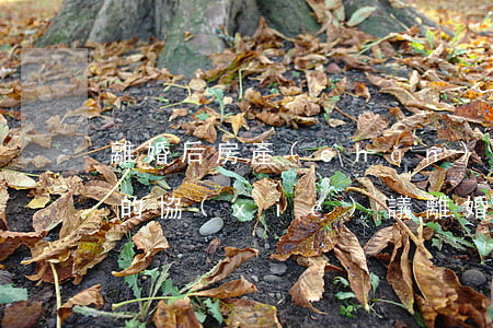 離婚后房產(chǎn)贈(zèng)與的協(xié)議(離婚協(xié)議中的房產(chǎn)贈(zèng)與能否撤銷)