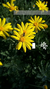 離婚后房貸怎么還