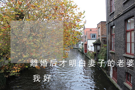 離婚后才明白妻子的(老婆出軌后離婚才知道我好)