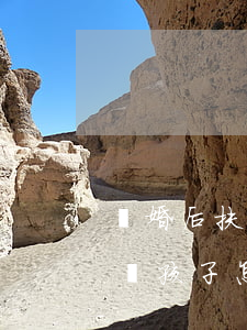 離婚后扶養(yǎng)權(quán)拋棄孩子怎么辦