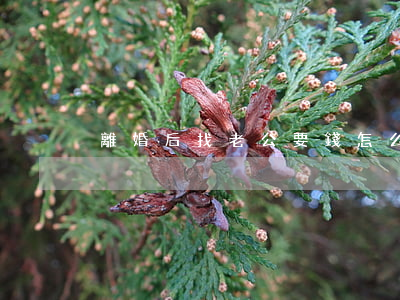 離婚后找老公要錢怎么辦