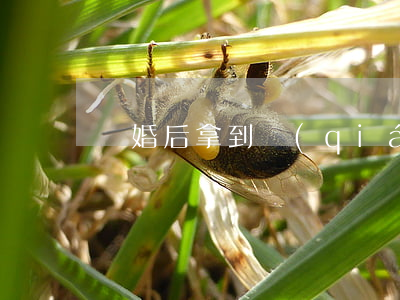 離婚后拿到錢(qián)太少怎么辦