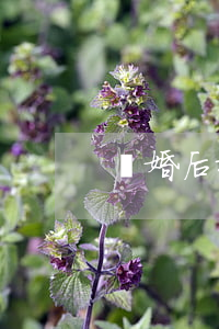 離婚后按揭房除名流程