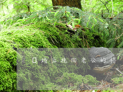 離婚后挽回老公的信