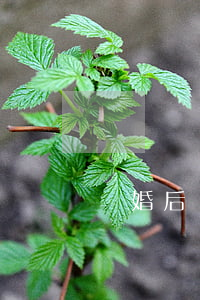 離婚后撫養(yǎng)方不給探視怎么辦