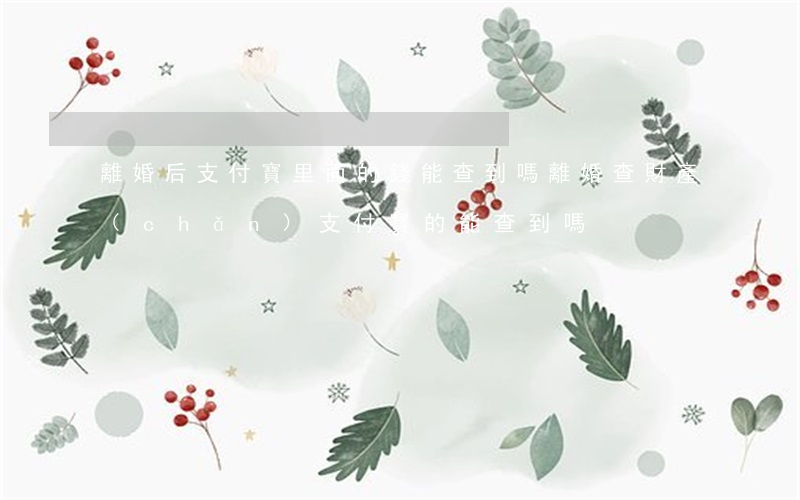 離婚后支付寶里面的錢能查到嗎(離婚查財產(chǎn)支付寶的能查到嗎)