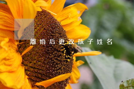 離婚后更改孩子姓名
